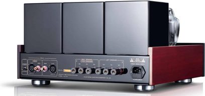 Amplificatore di potenza Cayin Soul 170P nero, metallo con fianchi in legno, vista posteriore, ingressi XLR/RCA, morsetti per diffusori, presa IEC