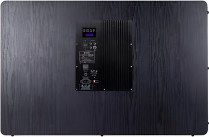 Rear view of Tonewinner SW-D8000 Pro subwoofer, black wood cabinet with central amplifier panel and connections