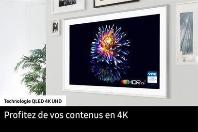 Samsung TQ43LS03FAU 2025 vægmonteret fjernsyn med skærm, der viser en farverig blomst på sort baggrund og HDR10+- og VDE-logoer