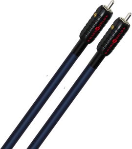 To blå Wireworld Oasis 8 RCA-lydkabler med forgyldte RCA-stik, fotograferet forfra på hvid baggrund