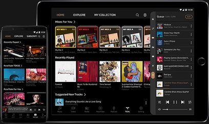 Skærmbillede af en mobil musikstreaming-app, der viser afspilningslister, albums og kunstnere