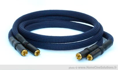 Analogt RCA-lydkabel Présence Evo II med nærbillede af RCA-stikket, mørkeblå flettet kappe, forgyldte RCA-stik i enderne