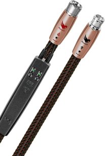 To XLR-lydkabler fra Audioquest Pegasus, med brun og sort flettet kappe, rose kobber-stik, på hvid baggrund