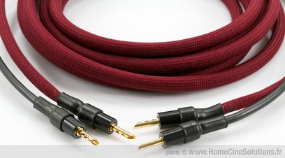 Røde flettede audiokabeler med forgyldte og sorte bananstik, oprullet i spiral, tæt på