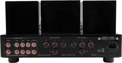 Line Magnetic LM-300IA sort integreret stereo rørforstærker i metal, set bagfra, med tre store lakerede transformatorhætter, en række af otte forgyldte RCA-indgange til venstre, otte røde og sorte højttalerterminaler i midten og et strømstik til højre