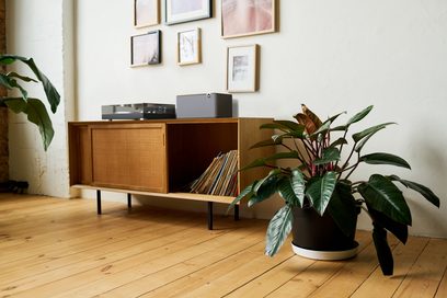 Boxa wireless conectată Klipsch The Three Plus în culoarea nuc, vedere frontală, așezată pe un mobilier din lemn deschis la culoare cu o plantă verde