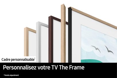 Samsung F-TQ55LS03D-BF, tilpasselig ramme, set fra siden, lyse træfinisher, hvid, brun, sort, billede af fugle
