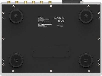 Изглед отдолу на мрежовия аудиоплеър Matrix Audio TS-1, правоъгълен алуминиев корпус в сребрист цвят с матна черна долна плоча, четири кръгли крачета, периферни винтове и централна етикетка, позлатени RCA конектори, изравнени с горния ръб