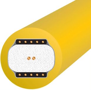 Wireworld Chroma 10 digitalt koaksialkabel i tværsnit med gul kappe og orange ledere på hvid og sort baggrund