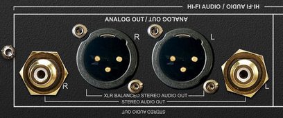 Zappiti Signature multivides atskaņotāja simetriskie XLR stereo audio savienotāji un asimetriskie apzeltītie RCA savienotāji