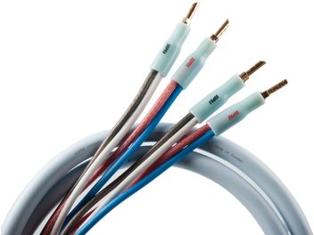 Câbles audio Supra Quadrax bleus et blancs, gros plan sur les extrémités dénudées laissant apparaître les fils de cuivre