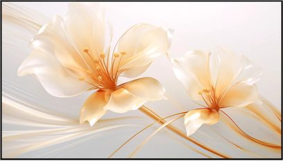 Tela de projeção fixa XGIMI ALR 100" UST, vista frontal, duas grandes flores translúcidas com pétalas bege claro, fundo degradê