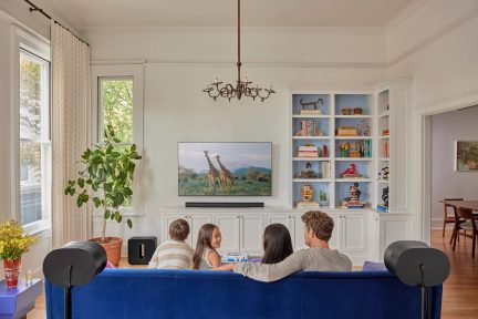 Stue med blå sofa, vægmonteret fjernsyn, der viser giraffer, hvide hylder fyldt med bøger og genstande, grøn plante