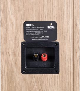 Sloupcový reproduktor Davis Acoustics Ariane 7 v světlém dubu, detail na černou svorkovnici se dvěma svorkami, červenou a černou
