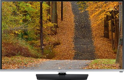 Samsung UE48H5000-fjernsyn, der viser en skovvej om efteråret dækket af faldne, orange blade