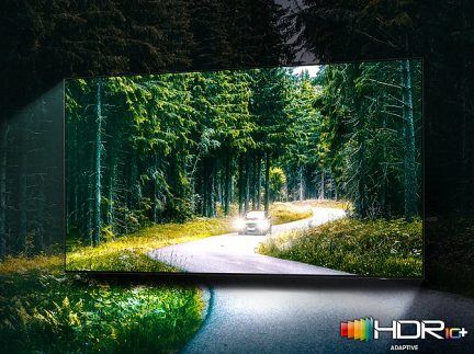 Cărare sinuoasă prin pădure, mărginită de copaci verzi și deși, luminată de razele de soare filtrându-se prin frunziș