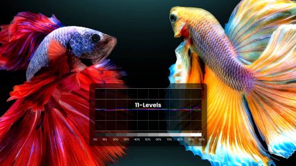 For optimal farvepræcision tilbyder BenQ's high-end home cinema-projektorer avanceret farvetemperaturregulering med 11 niveauer af hvidbalancetilpasning mellem høj og lav lysstyrke, så middelfarvetonerne kan justeres med stor præcision.