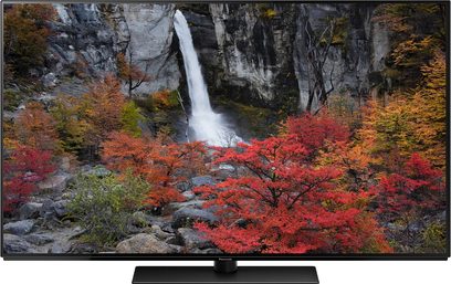 Panasonic TX-65FZ800E-fladskærm, der viser et vandfald omgivet af træer med røde efterårsblade på grå klipper