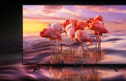 Flamingoer står i vandet og spejler en sky, rosa-orange himmel ved solnedgang