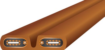 Câble d'alimentation secteur Wireworld Electra 7 1m marron avec deux connecteurs ovales gris à 12 contacts dorés