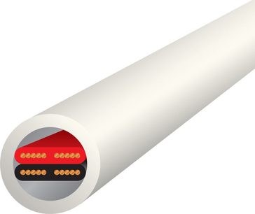 Hvidt elektrisk kabel med gennemsigtig isolerende kappe, der afslører 8 røde og sorte ledere, set i længdesnit