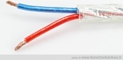Positive Cable Phoenix højttalerkabel, rødt og blåt, gennemsigtig kappe, snoede kobberledere