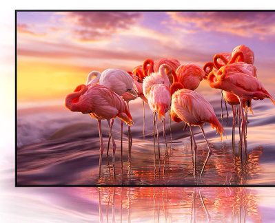 Flamingo roz în picioare în apă, reflectând un cer înnorat roz-portocaliu la apusul soarelui