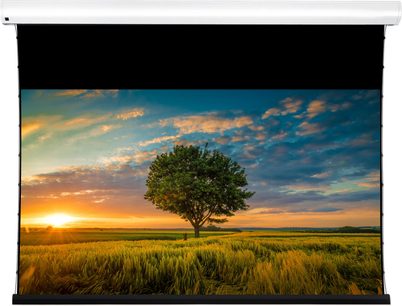 Екран ALR Lumene Coliseum extra bright UST 300C, вид спереду, біла рамка, зображення проекції самотнього дерева в полі на заході сонця