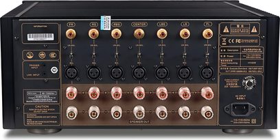 Tonewinner AD7300 PA+ multikanals effektforstærker set bagfra, gyldne RCA- og XLR-tilslutninger, sorte og gyldne højttalerterminaler