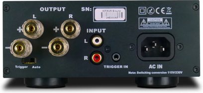 Amplificador de potência IOTAVX B:ound preto, vista traseira com terminais dourados, entradas RCA e tomada de alimentação