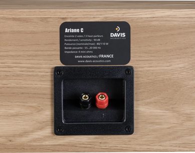 Hlavní reproduktor Davis Acoustics Ariane C v světlém dubu, pohled zezadu, vestavěný svorkovnicový panel se dvěma svorkami červenou a černou