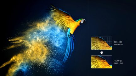 Blå og gul papegøje i flugt, farvede partikler, sammenligning af Full HD og 4K UHD opløsninger
