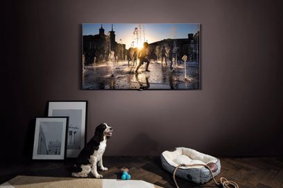 Vægmonteret tv, der viser en oplyst fontæne ved solnedgang i en by, med en springer spaniel og en spaniel, der ser på skærmen