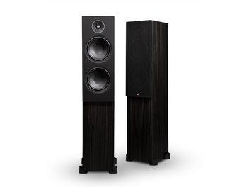 Enceinte colonne PSB Alpha T20 frêne noir, 2 haut-parleurs ronds, tweeter au-dessus du woofer, façade noire, caisson bois foncé