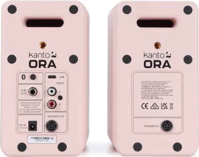 Rückansicht des matten rosa Kanto ORA Lautsprecherpaars, rechteckige Gehäuse aus Kunststoff mit abgerundeten Ecken, oberem geteiltem Griff und Anschlussfeld mit RCA, USB-C, Sub-Out und Lautsprecherklemmen