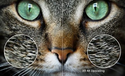 Primer plano de un rostro de gato con ojos verdes, hocico en el centro, comparación de textura de pelaje a la izquierda y a la derecha.