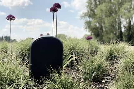 juodas lauko sodinis garsiakalbis, paslėptas tarp žolinių augalų ir violetinių česnakų žiedų