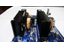 Miniature 6
