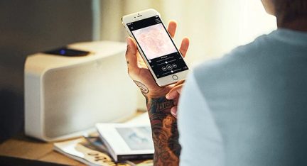 Tatovert hånd som holder en smarttelefon som viser et bilde, sett bakfra i nærbilde