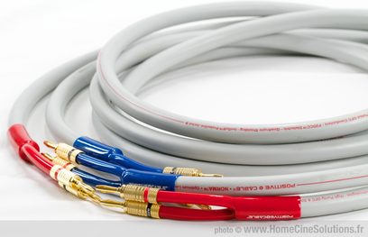 Positive Cable Norma-kabler, oprullet, hvid og rød/blå, med forgyldte stik, gennemsigtig kappe der viser kobbertrådene