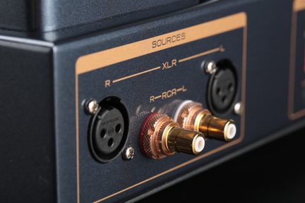 Nærbillede i skrå vinkel af bagsiden på et mørkeblåt metal-audiokabinet med gyldne kanter, udstyret med to sorte XLR-stik og to guldbelagte RCA-stik med røde og hvide ringe