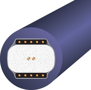Digitalt koaksialkabel Wireworld Ultraviolet 10, cirkulært tværsnit, lilla kappe, hvid indre struktur med kornet tekstur, 2 centrale guldbelagte ledere, flere guldbelagte stik arrangeret i 2 sorte rækker.