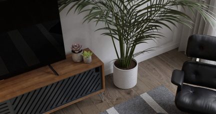 Pianta verde in vaso e mobile TV in legno con ripiani, su pavimento in parquet, in un interno moderno