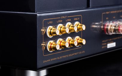 Detailní záběr v mírném pravém zadním úhlu na osm pozlacených konektorů RCA s bílou izolací, obklopených pozlacenými potisky, namontovaných na černém kovovém pouzdře stereo lampového integrovaného zesilovače Cayin CS-805A.