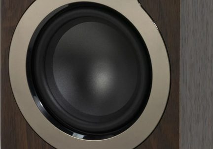 Close-up front view of a speaker with a matte black cone, satin beige metal ring, and veined brown wooden cabinet