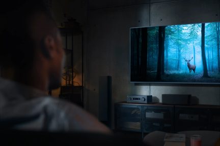 Stor veggmontert TV som viser en hjort i en blåtonet skog, med svart hjemmelydanlegg