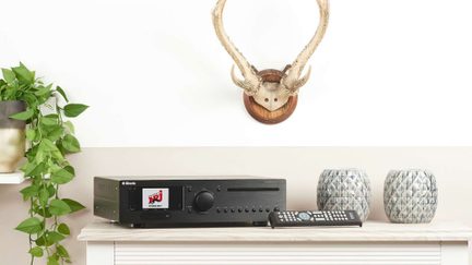 Czarny, prostokątny komponent audio hi-fi z matowego metalu, widok z przodu, ustawiony na jasnym meblu z dopasowanym pilotem, po lewej stronie otoczony zwisającą rośliną doniczkową, a po prawej dwoma niebieskawymi ceramicznymi wazonami z rombowymi wzorami; w tle na ścianie zawieszony drewniany trofeum z rogami.