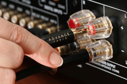Connettore a banana in metallo nero e dorato «ADVANCE PARIS», visto in primo piano laterale, tenuto da una mano e inserito in un morsetto trasparente in plastica e ottone di un amplificatore nero