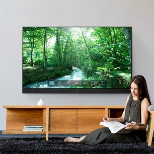 Panasonic TX-48JZ980E-fladskærm, der viser en grøn skov og en flod, foran hvilken en kvinde sidder og skriver