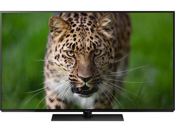 Nahaufnahme eines Leoparden von vorne, mit durchdringendem Blick, beige-schwarzem Fleckenfell, hervorstehendem Maul und weißen Schnurrhaaren